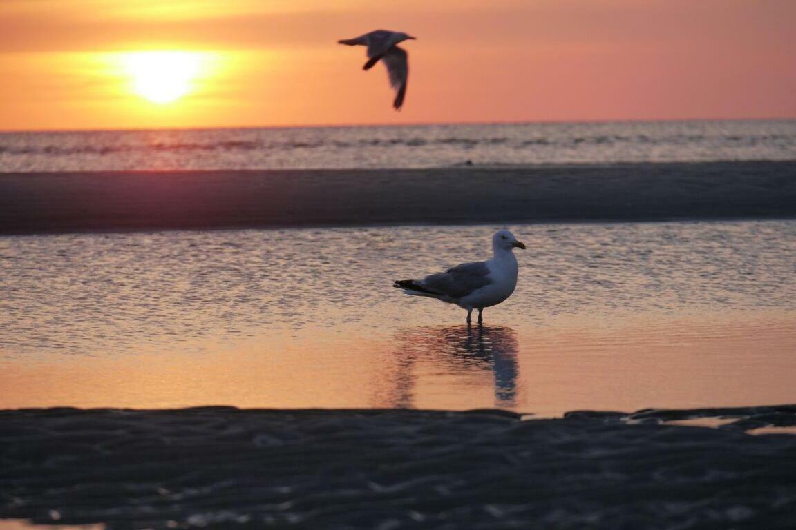 Fewo Buesum - Bella Mare - Nordseestrasse 3 Екстер'єр фото